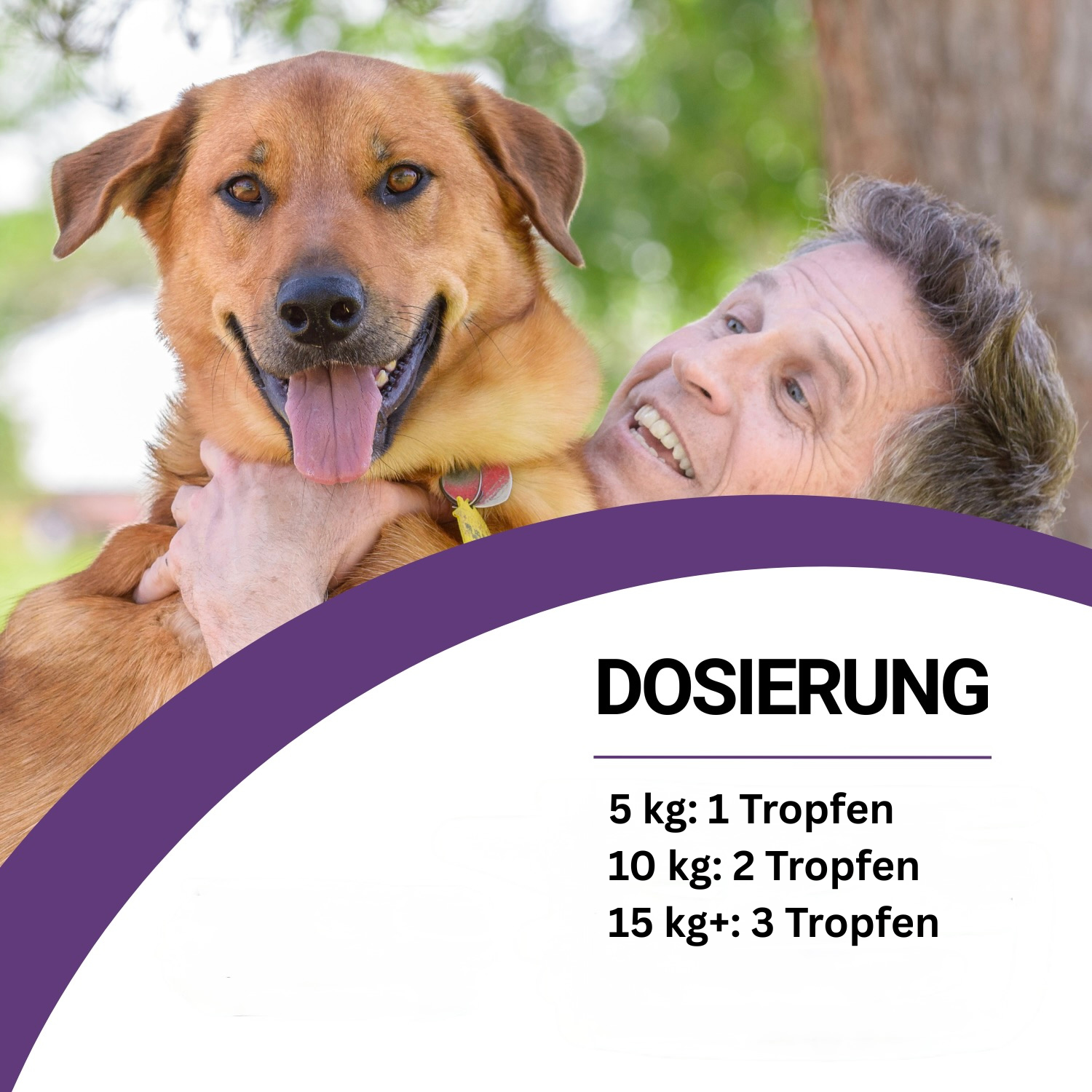 CBD-Öl 5% für Hunde