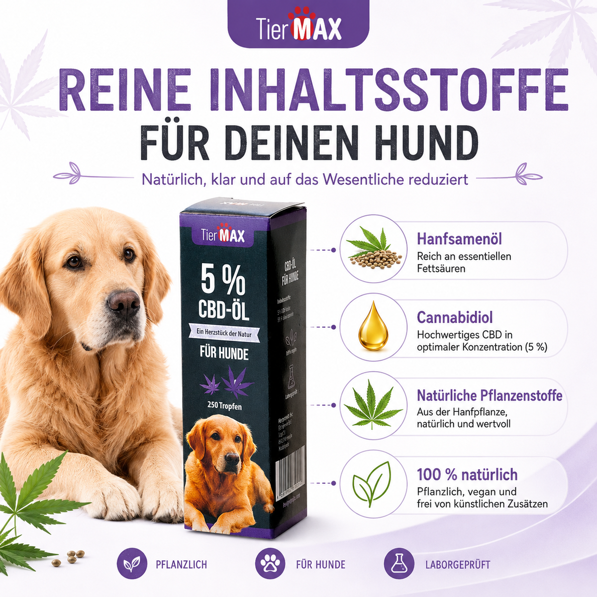CBD-Öl 5% für Hunde