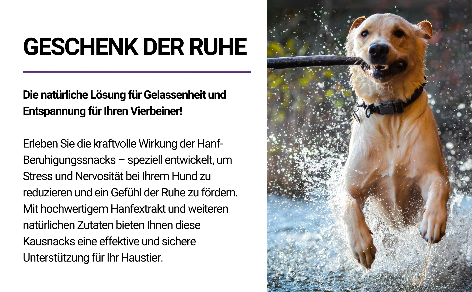 TierMAX Hanf-Beruhigungssnacks