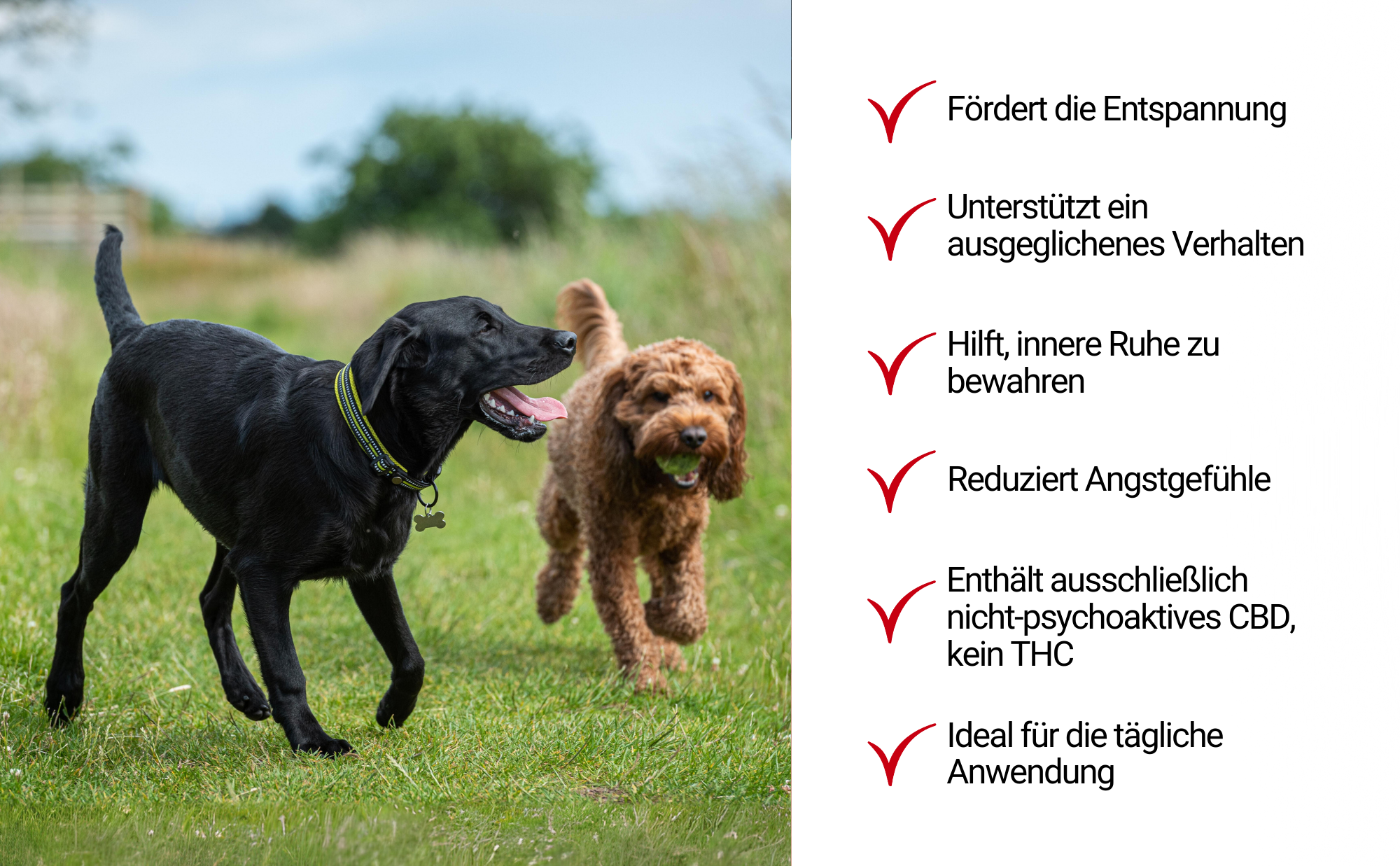 TierMAX Hanf-Beruhigungssnacks