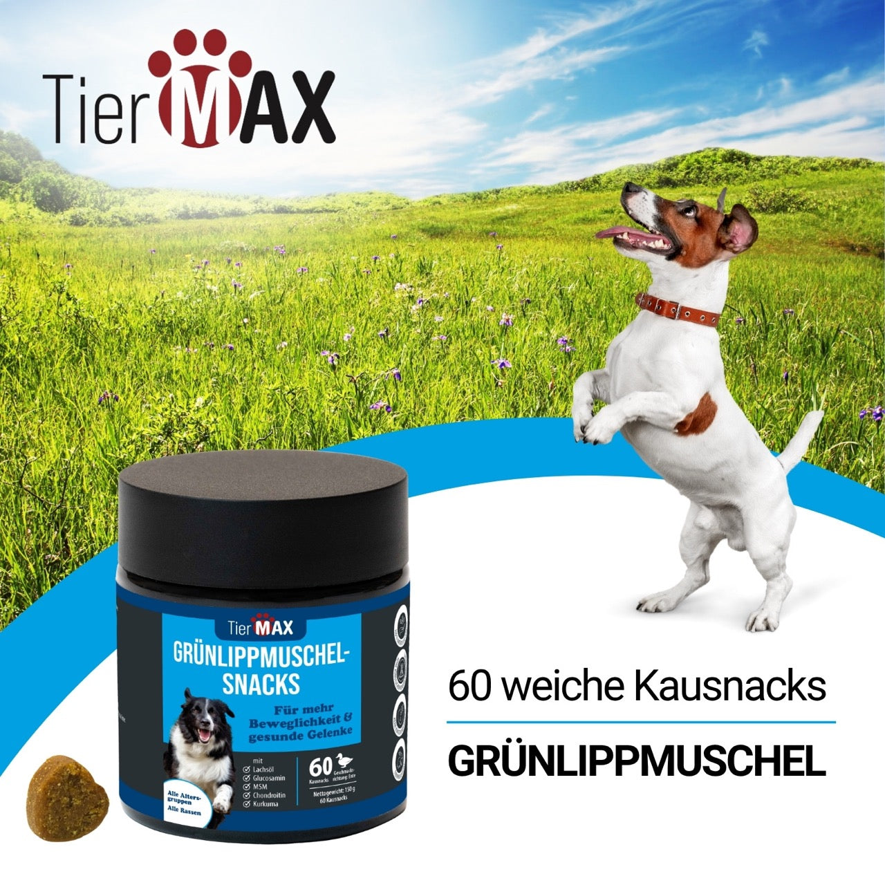 TierMAX Grünlippmuschel-Snacks