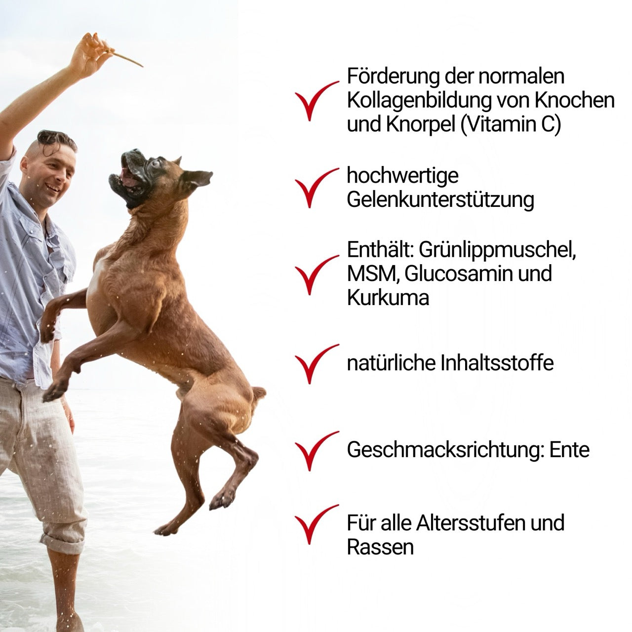 TierMAX Grünlippmuschel-Snacks