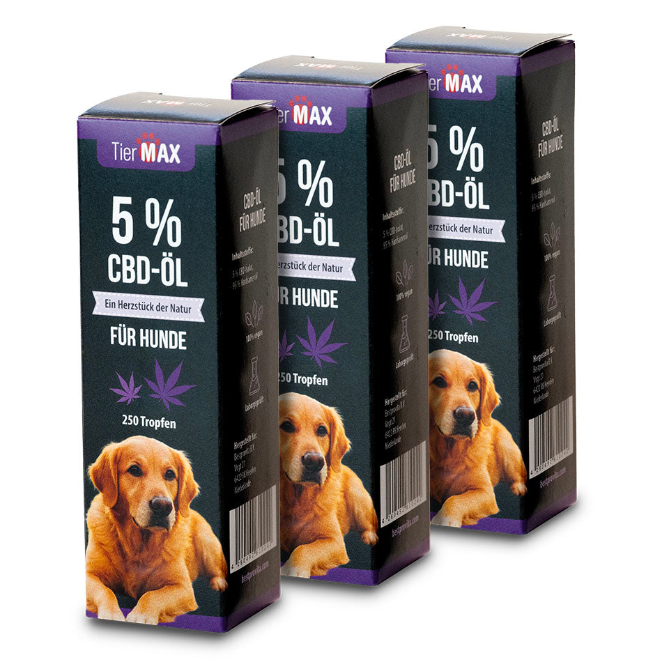 CBD-Öl 5% für Hunde