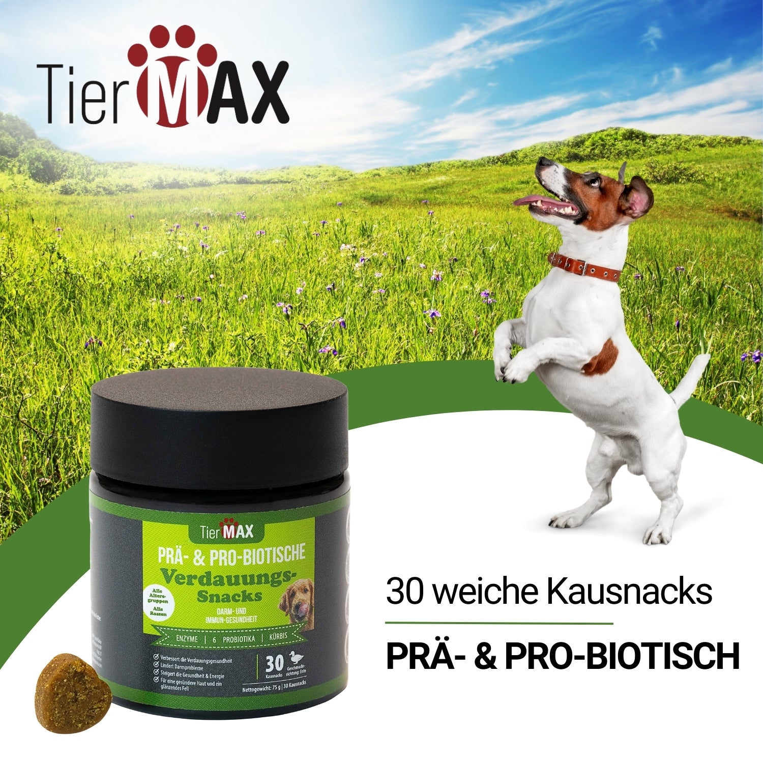 TierMAX Prä- & Pro-Biotische Verdauungssnacks