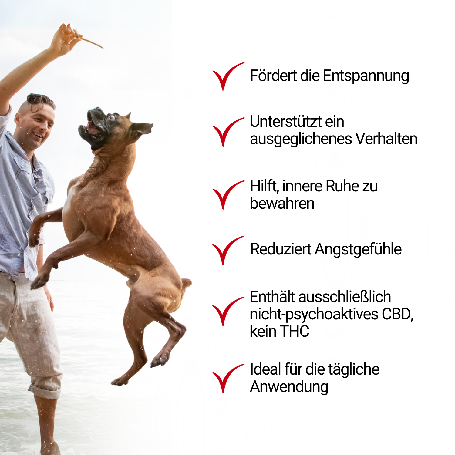 TierMAX Hanf-Beruhigungssnacks