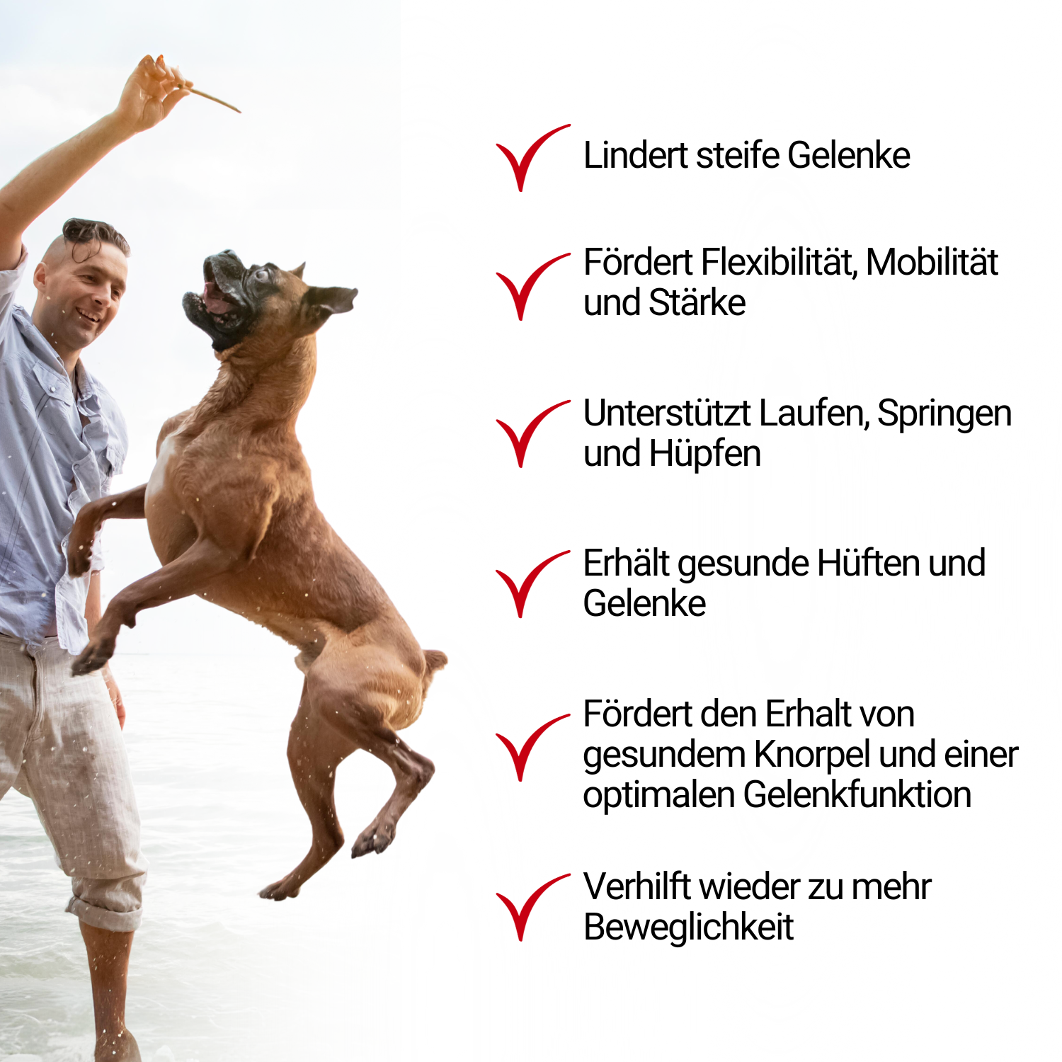 TierMAX Knochen- & Gelenksnacks mit Glucosamin